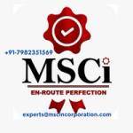 MSCincorporation Consultancy Services