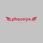 pheonyx plywood