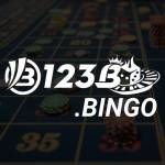123B Bingo
