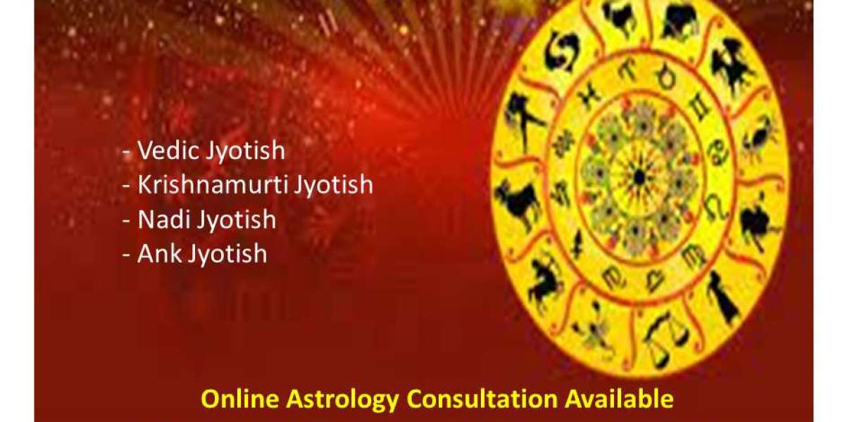 Vedic Astrology — Jyotish Acharya Devraj Ji — Best astrologer in India
