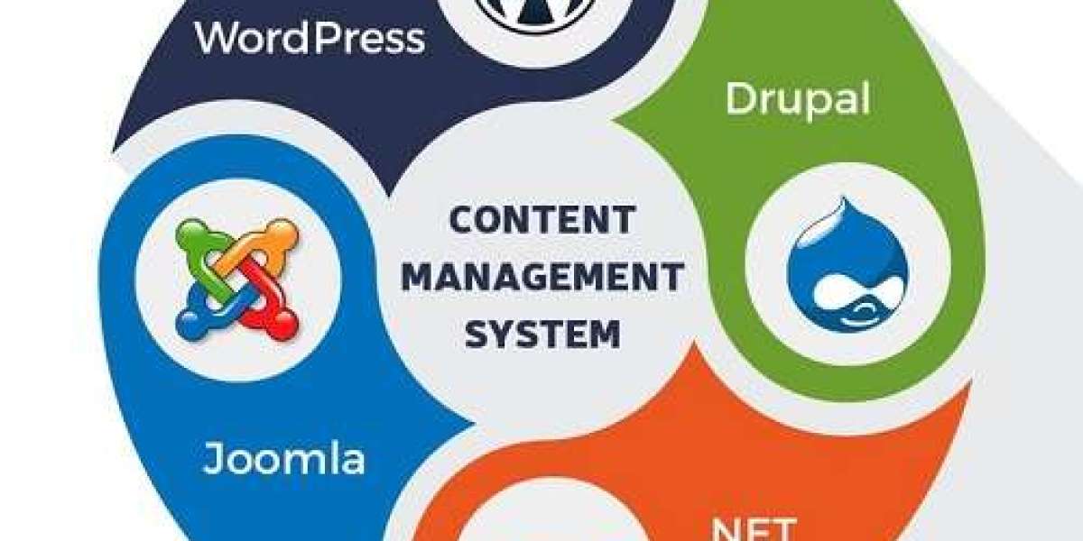 Web Content Management Software Market Size, Share, Trends | Forecast Report [2032]