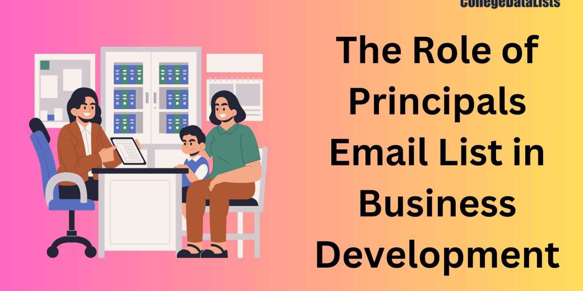 The Role of Principals Email List in Business Development