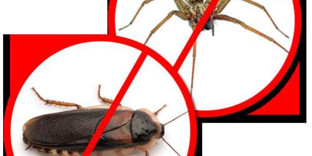 Pest-Free Living: Top-Notch Pest Control Services