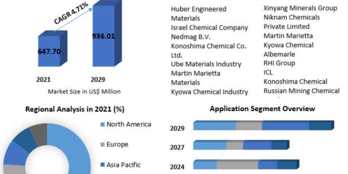Exploring the Magnesium Hydroxide Market: Size, Share, Key Players, Forecast 2022-2029