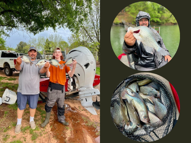 Lake Hartwell Crappie Fishing Report February 4th 2024 - Lake Hartwell Fishing Guides