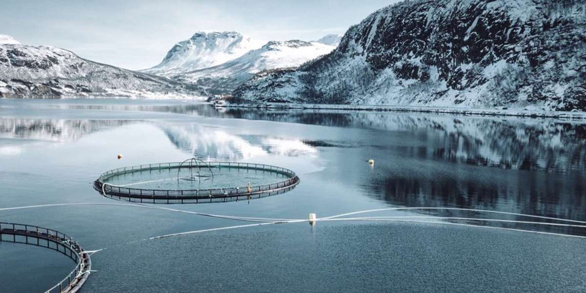 Norway Aquaculture Market Size, Share, Industry Growth 2023-2028