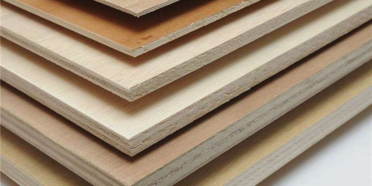 Plywood Market Projected to Reach US$ 1,53,045.99 Million by 2033 with a Steady 6.00% CAGR