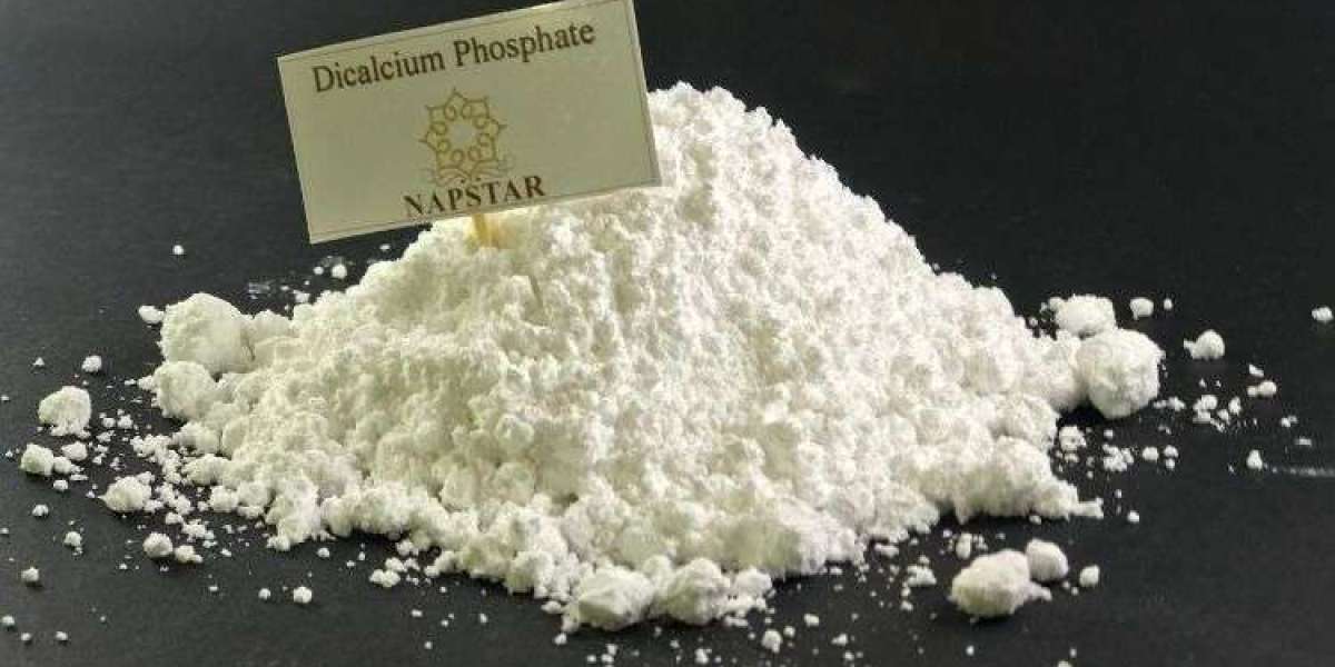 Exploring Investment Horizons: Dicalcium Phosphate Market Outlook