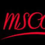 mscoco Hair