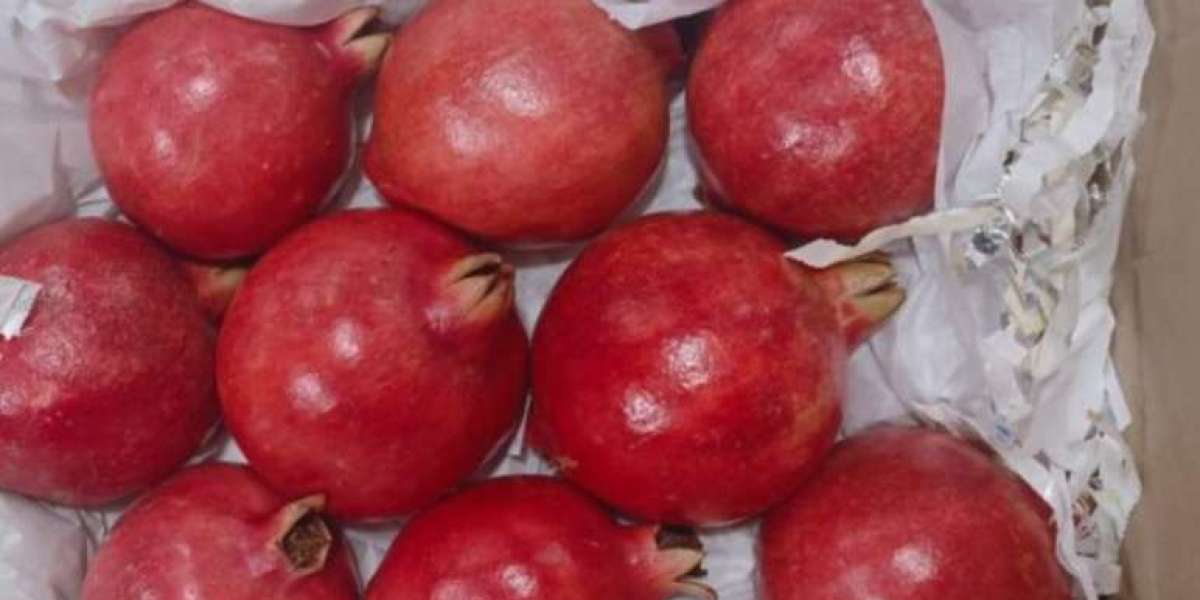 Exploring the Global Market: The Rise of Pomegranate Exporters