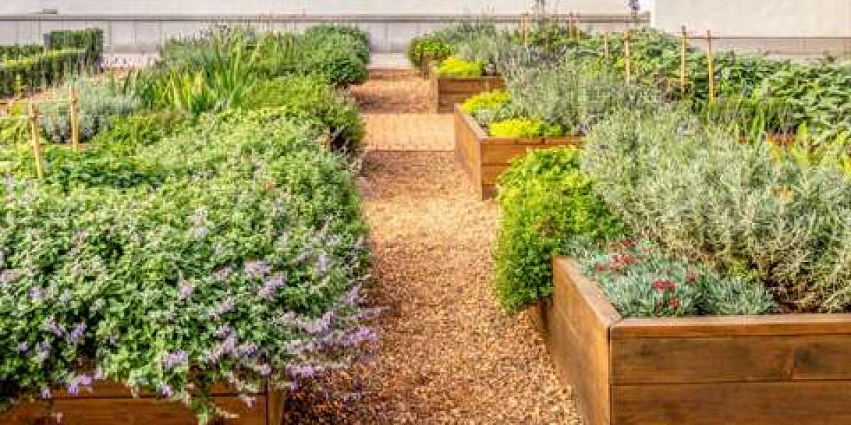 Elevated Raised Garden Beds: A Stylish Solution for Urban Gardening