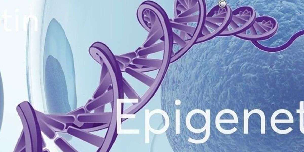 Epigenetics Market Evolution: Anticipating US$ 2.79 Billion by 2032