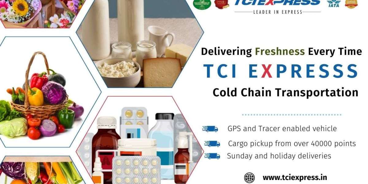 Revolutionizing Logistics: TCI Express and the Future of Cold Chain Transportation