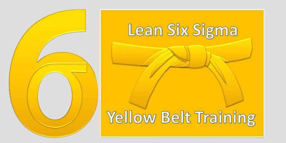 Job Description and Salary for the Lean Six Sigma Yellow Belt