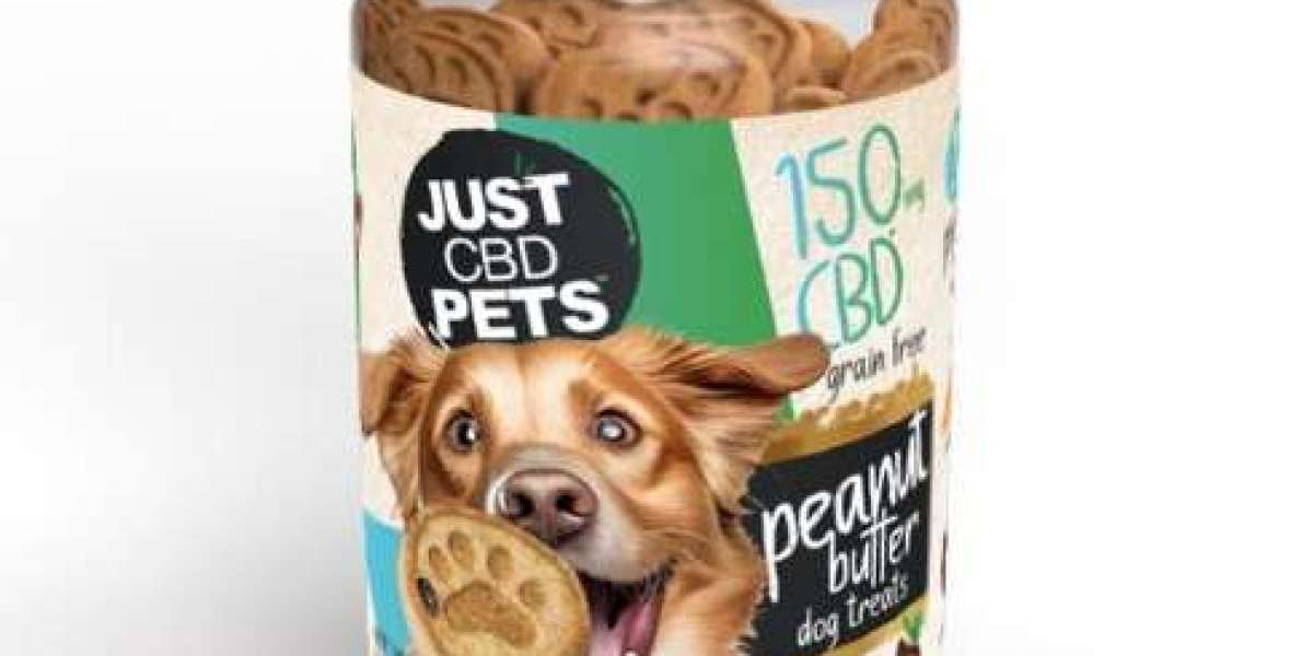 Exploring the Pawsibilities: The Effects of CBD on Pets