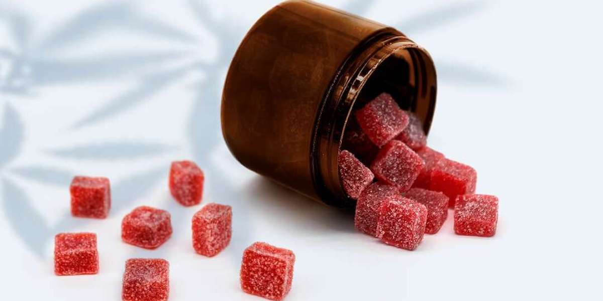 Essential Keto Gummies Weight Loss Supplement Ingredients – Shocking Price & Benefits