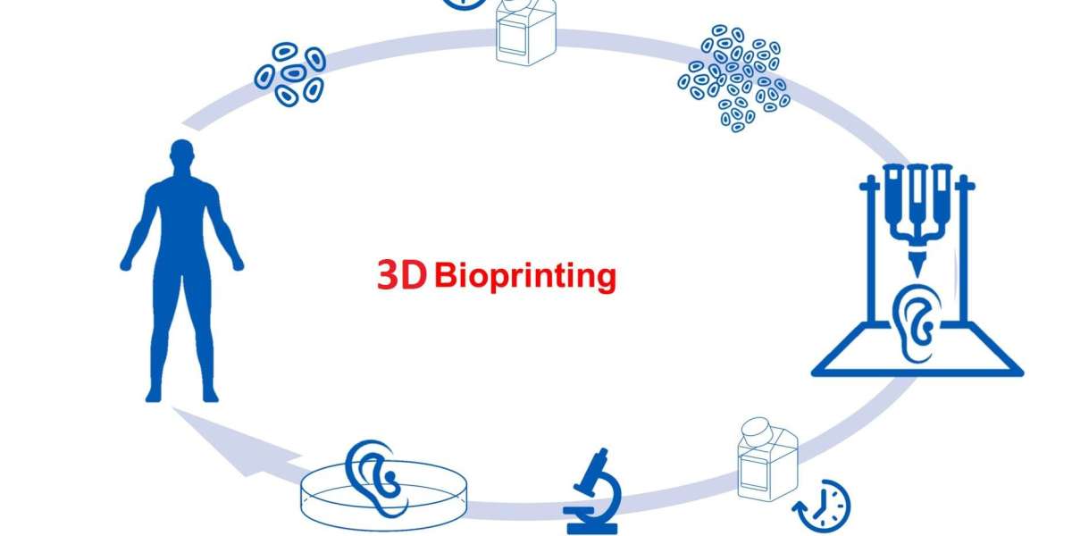 Growing Companies Providing R&D Services in the 3D Bioprinting Market