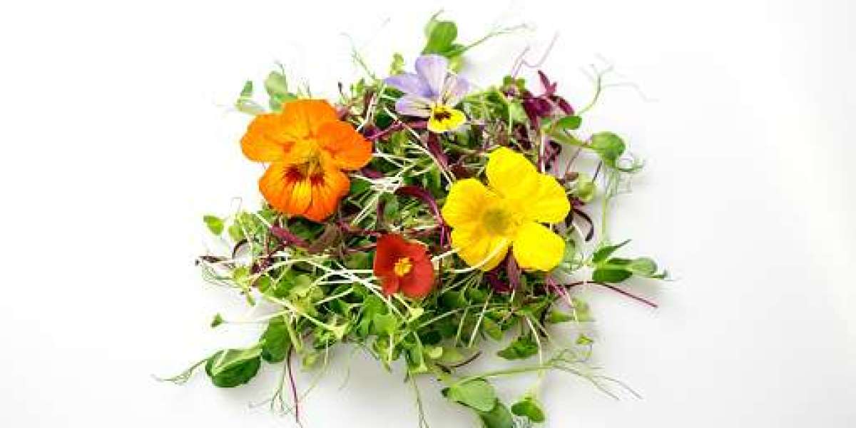 Edible Flowers Market: Investment, Key Drivers, Gross Margin, and Forecast 2032