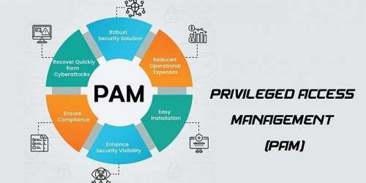 Privileged Access Management (PAM) Solutions Market Share & Research Report [2032]