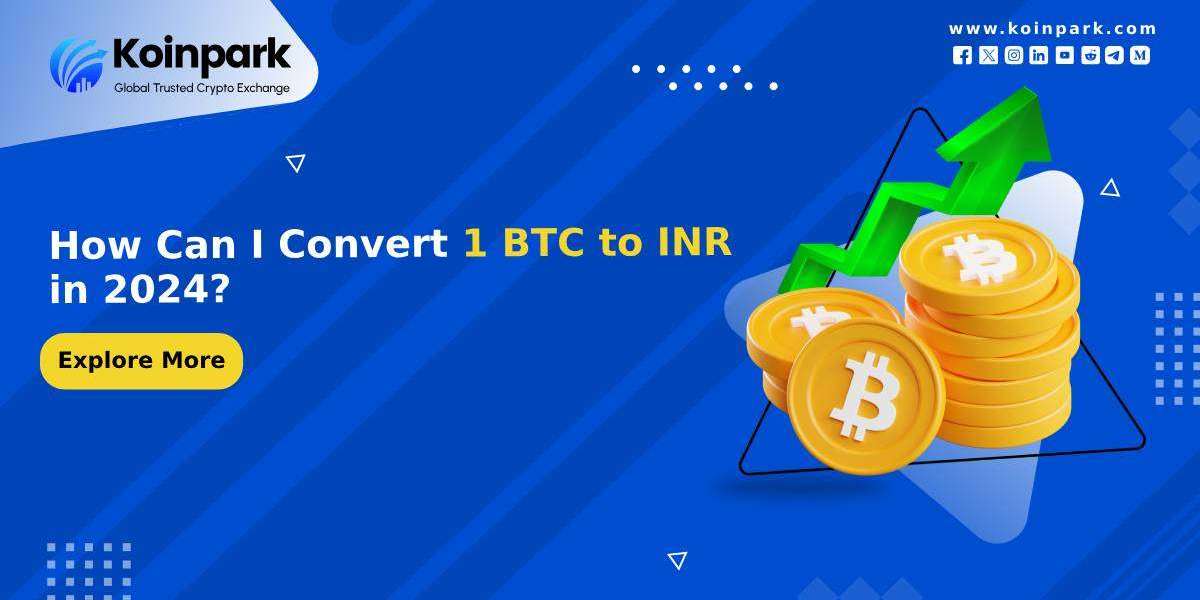How Can I Convert 1 BTC to INR in 2024?