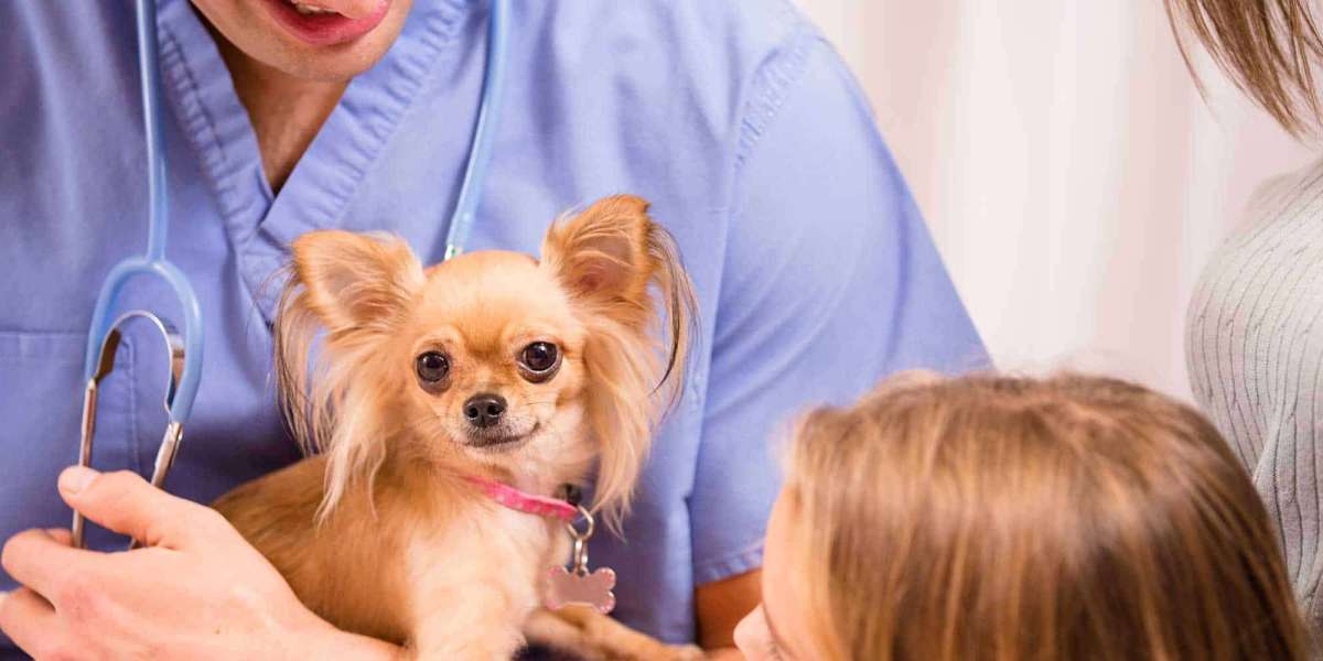 Veterinary Pain Management Market Size, Growth, Analysis, Outlook and Forecast 2024-2032