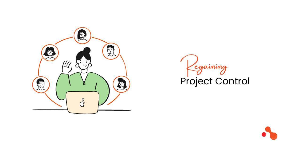 Myths in IT Staff Augmentation: Regain Project Control