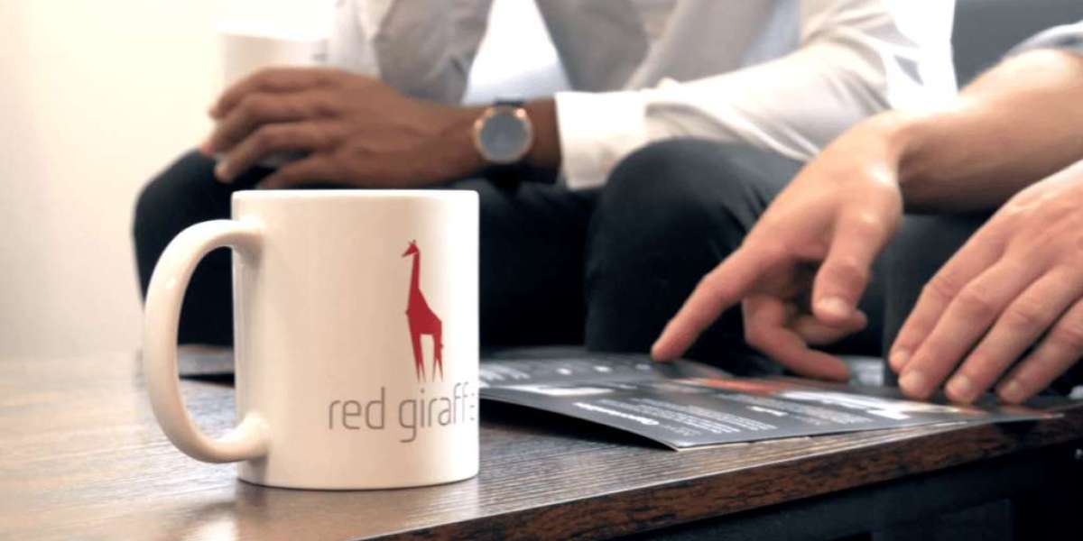 Top Web design Services in Milton Keynes | Red Giraffe