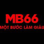 mb66blackk