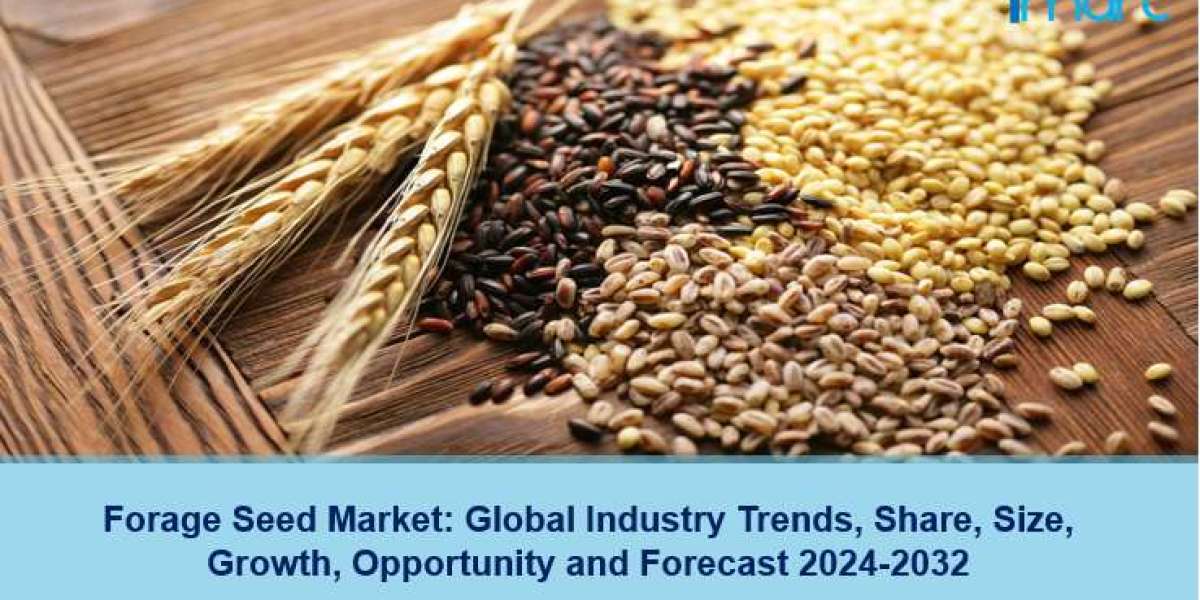 Forage Seed Market Size, Outlook, Growth and Forecast 2024-2032