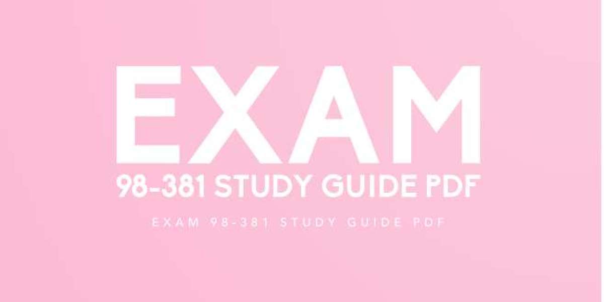 How to Achieve Your Goals in Exam 98-381 with Our Study Guide PDF