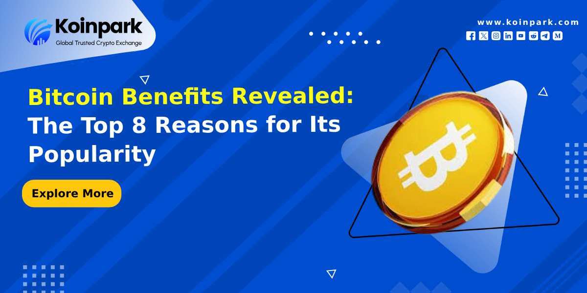 Bitcoin Benefits Revealed: The Top 8 Reasons for Its Popularity