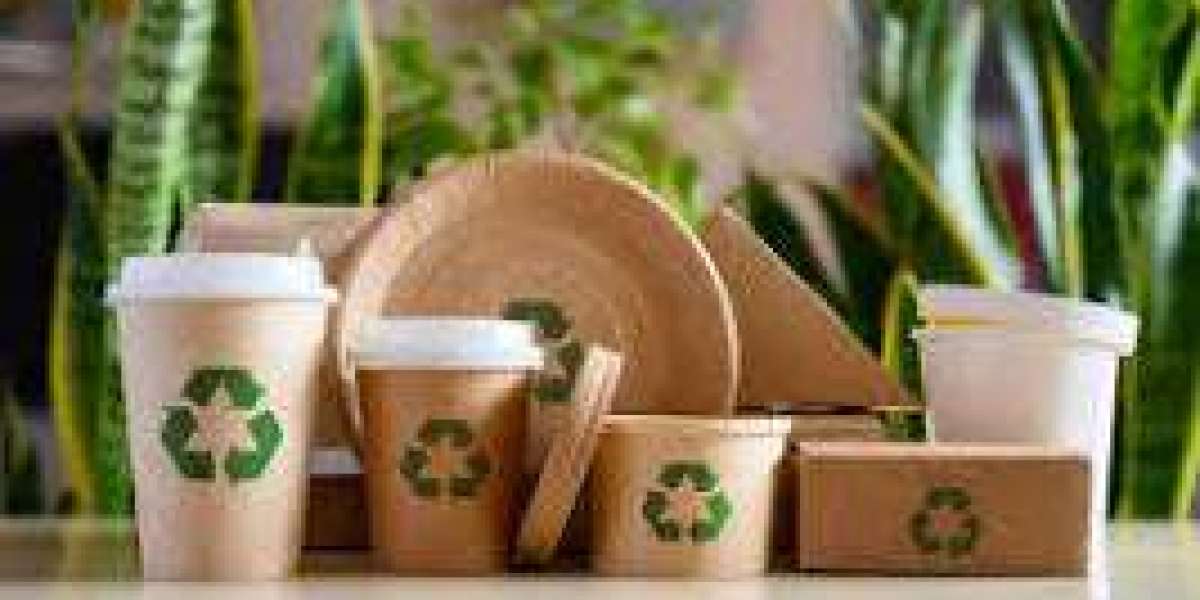 Biodegradable Product Packaging