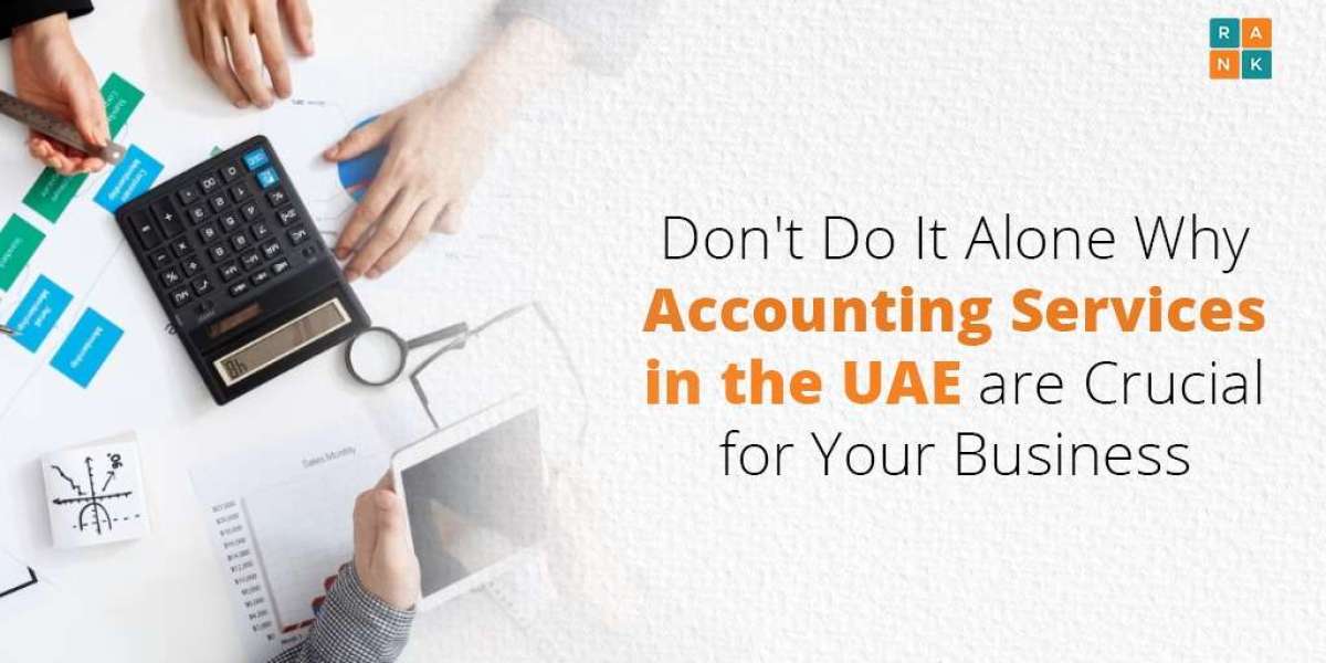 Don’t Do It Alone: Why Accounting Services in the UAE Are Crucial for Your Business
