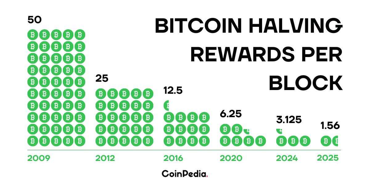 The Bitcoin Halving 2024 Effect: A Deep Dive into Bitcoin's Price Dynamics