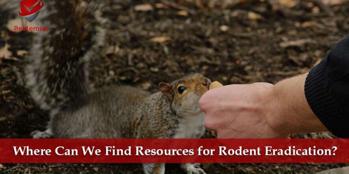 Where Can We Find Resources for Rodent Eradication?