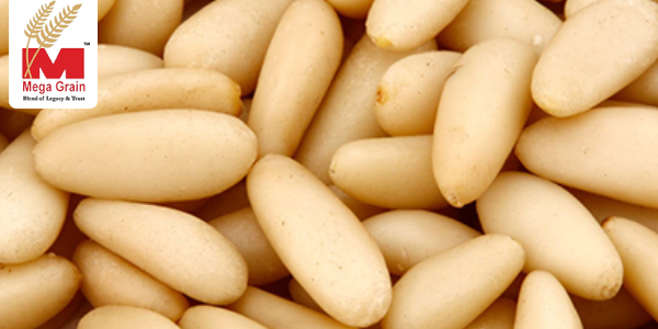 A Perfect Guide To Understand The Pine Nuts Popularity And Trade Globally