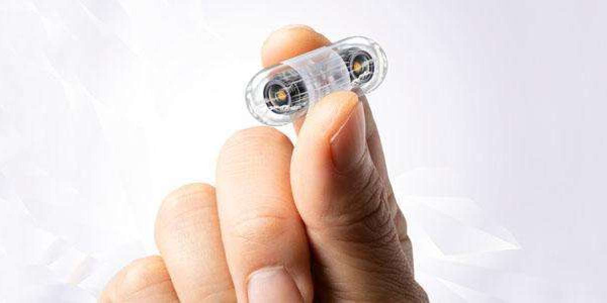 Capsule Endoscopy Market Overview, Size, Industry Share, Growth, Trends, Forecast 2024-2032