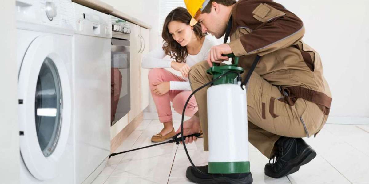 The Ultimate Guide to Pest Control in Sydney