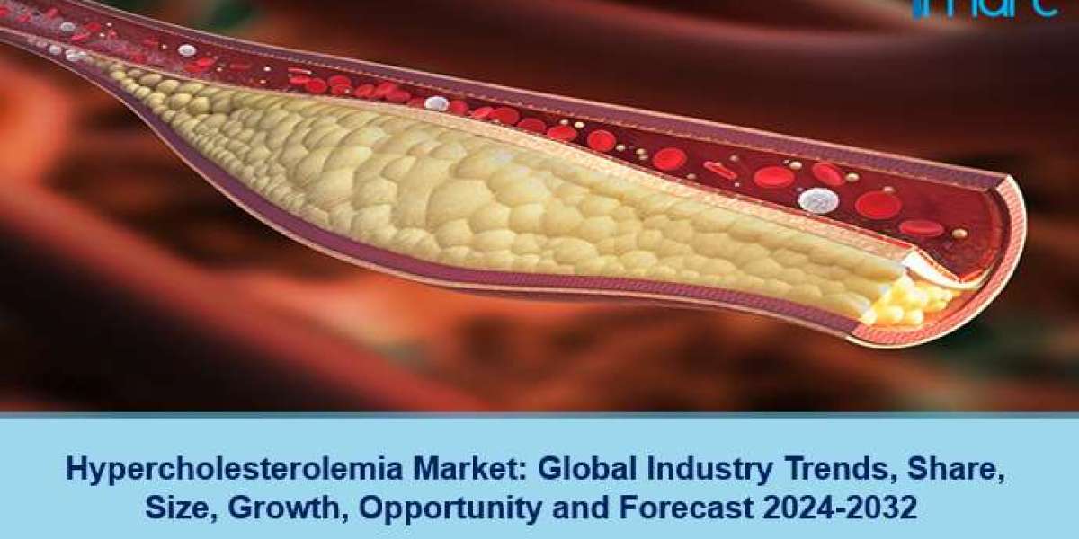 Hypercholesterolemia Market Report 2024-2032: Industry Overview, Trends, Growth and Forecast