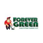 Forever Green Lawn and Pest Control