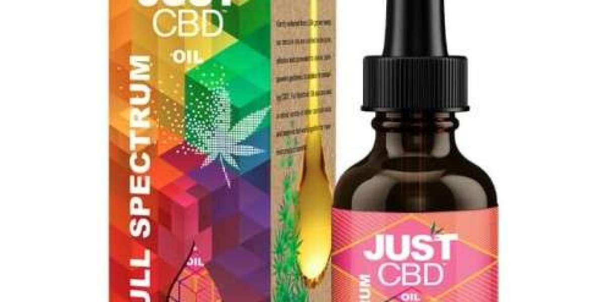 Navigating the Wellness Oasis: Exploring the World of CBD Oil Stores