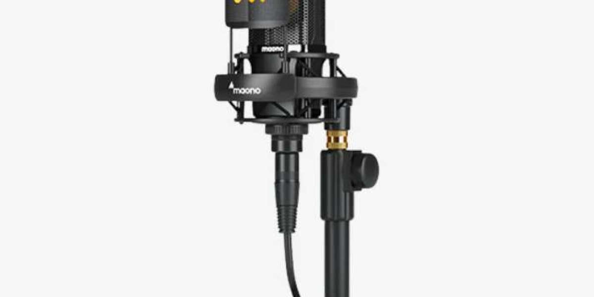 Unleashing Professional Audio Quality with XLR Recording Microphones'