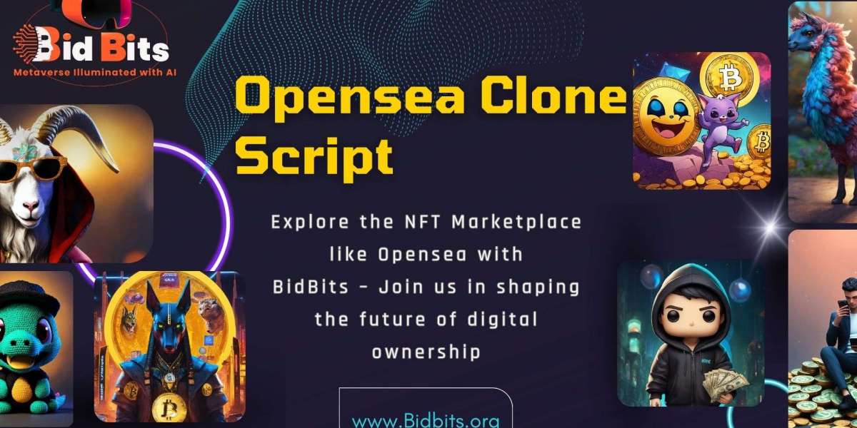 Why Investing in an OpenSea Clone Script Can Supercharge Your NFT Marketplace