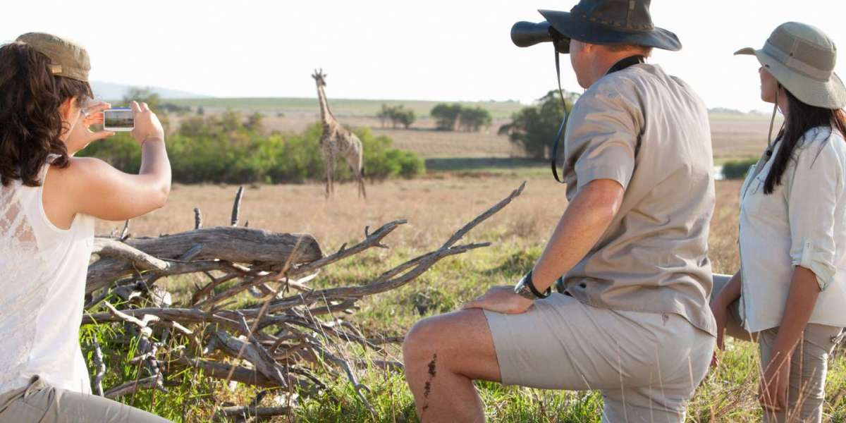 Capturing the Essence of the Wilderness: Embark on a Kalahari Photo Safari