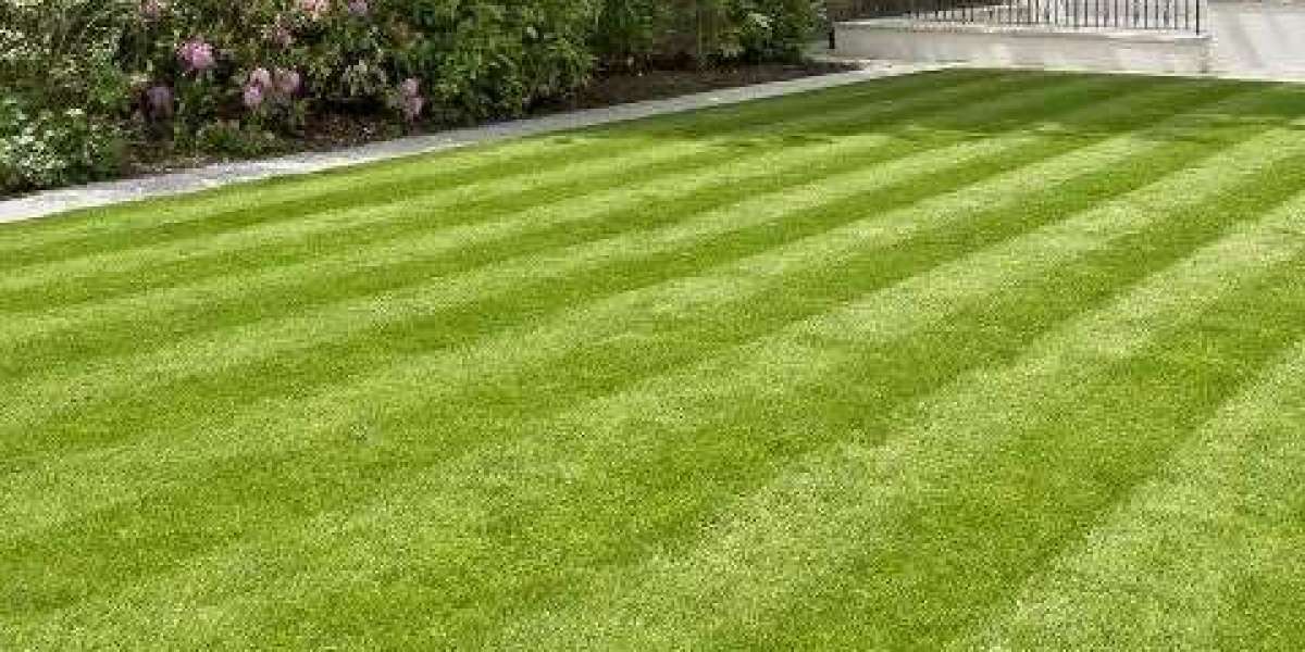 Search Online to Find the Best Artificial Grass Services in Sydney!