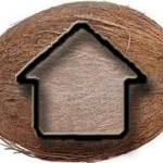 Coconut Contracting