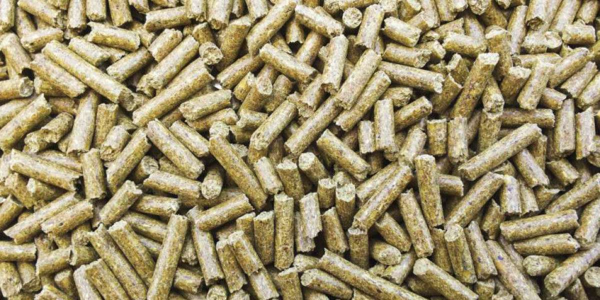 Feeding the Future: The Rise of the Upcycled Animal Feed Market