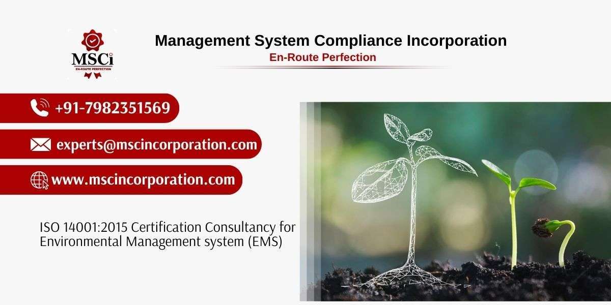 Find the Right ISO 14001 Consultancy Service for Your Needs