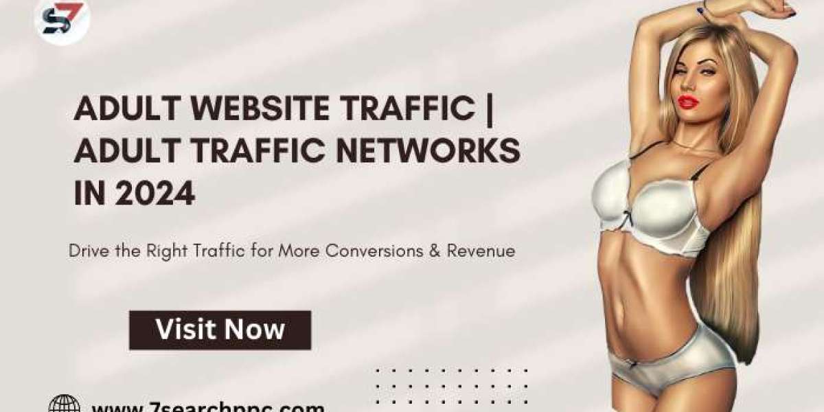 Adult Website Traffic | Adult Traffic Networks in 2024