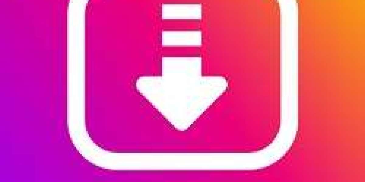 How to use SnapInsta; Complete user guide!